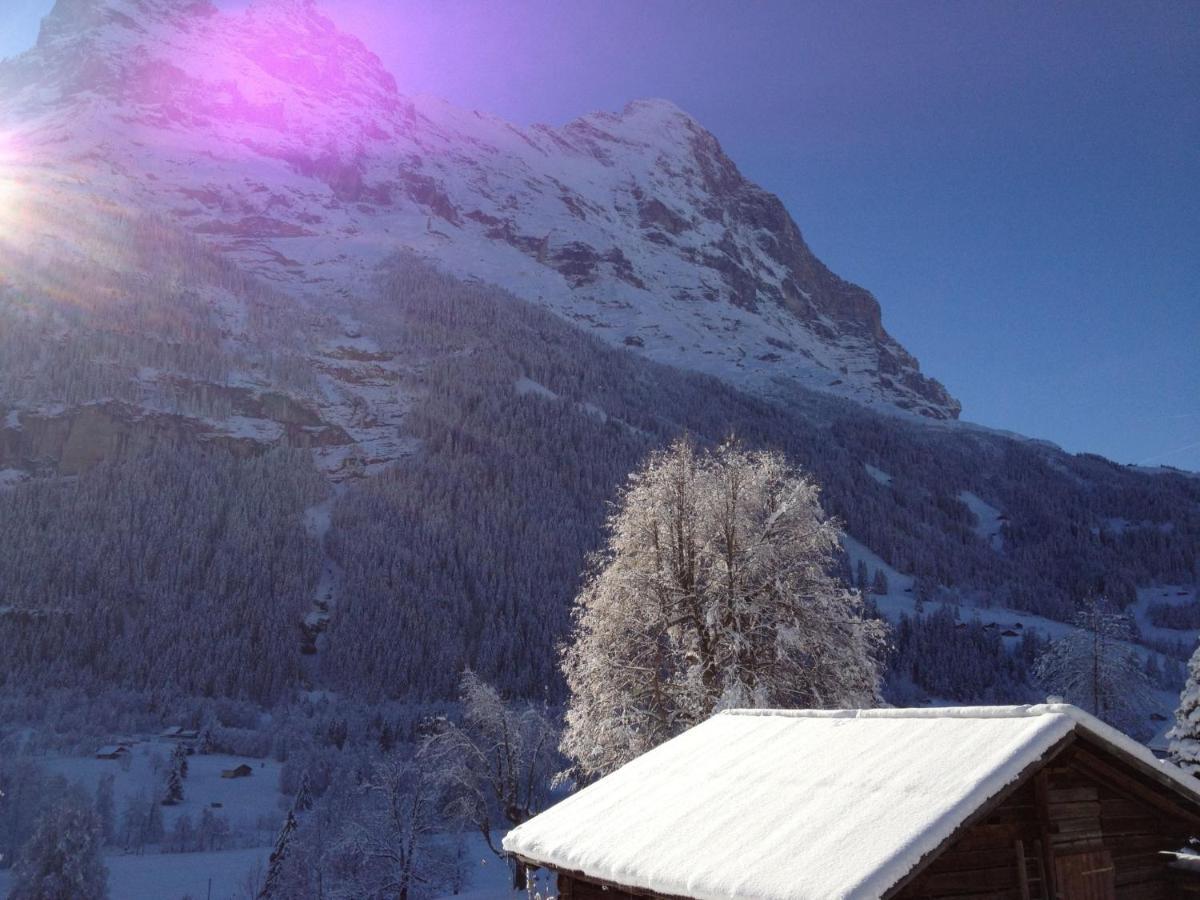 Apartment Chalet Baergsunna-3 By Interhome Grindelwald Exterior photo